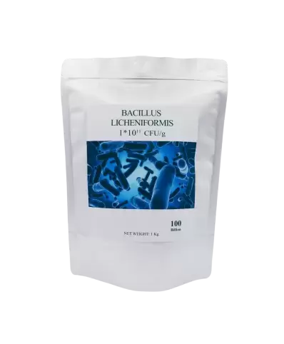 BACILLUS LICHENIFORMIS